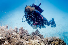 Load image into Gallery viewer, SUUNTO ZOOP NOVO BLUE--SS021644000